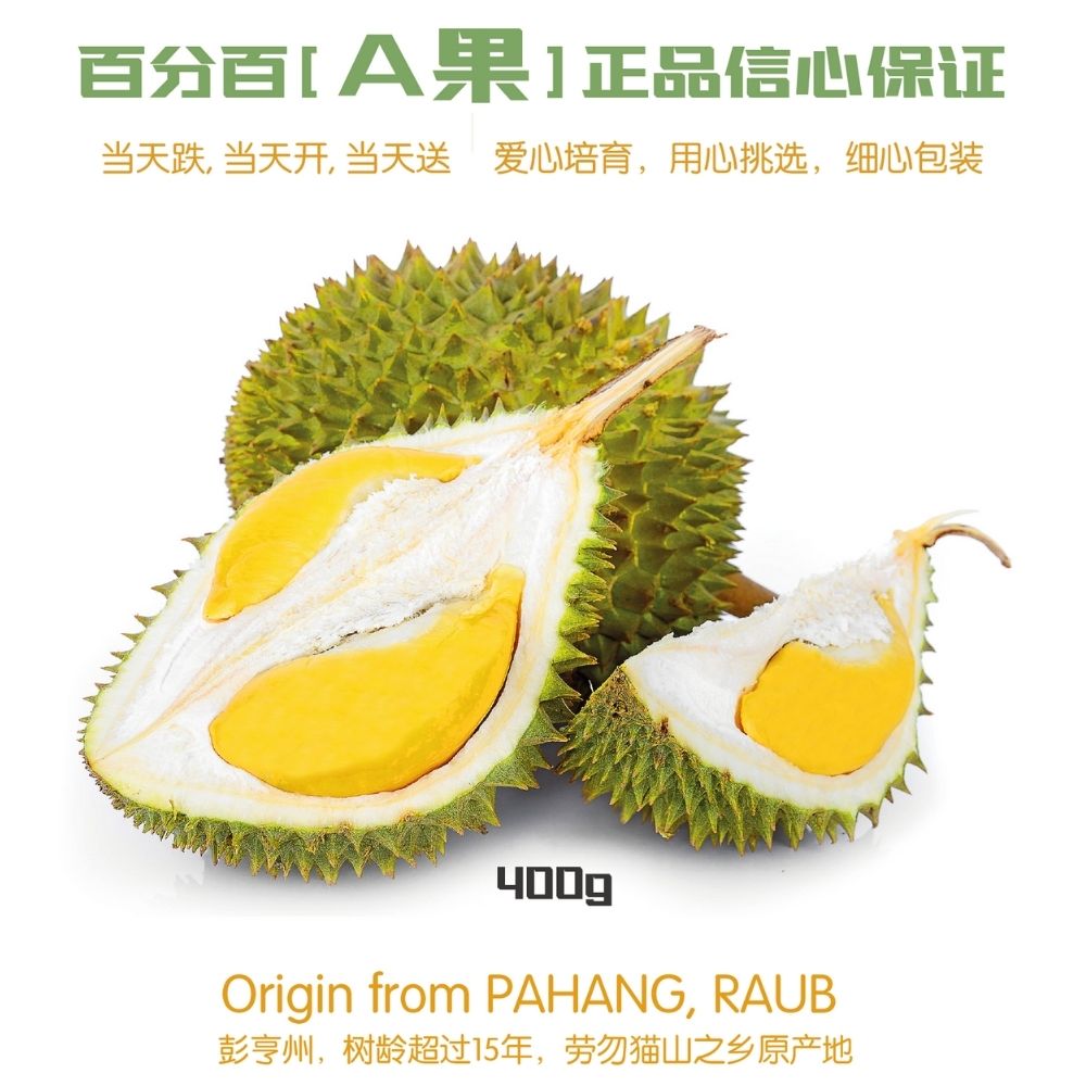 Raub Fresh Premium Musang King 400g+-