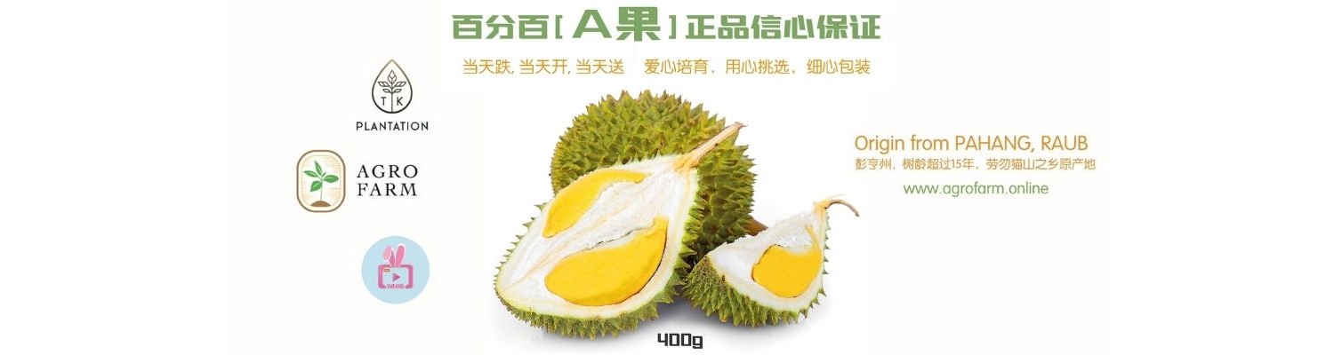 Raub Fresh Premium Musang King 400g+-