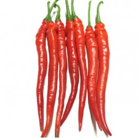 Red chilli (Kulai) +/- 1kg