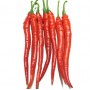 Red chilli (Kulai) +/- 1kg