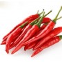 Red Cili